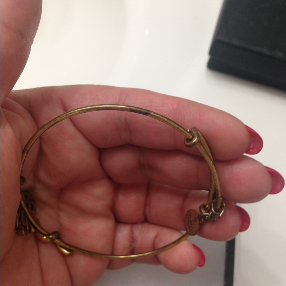 3 Alex and Ani bracelets.